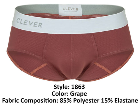Clever 1863 Lecler Briefs Color Grape