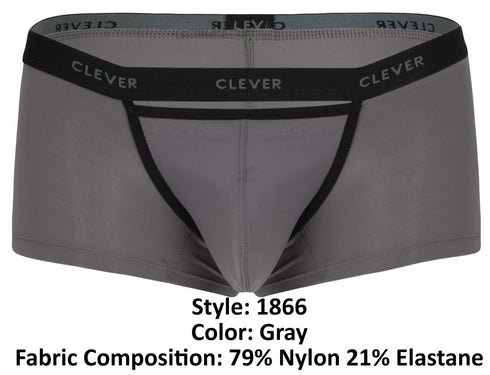 Clever 1866 Tokio Trunks Color Gray