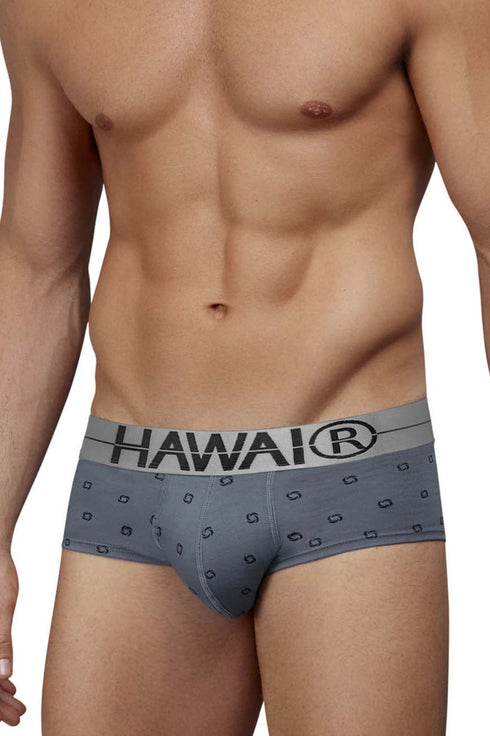 HAWAIR 42531 Cotton blend Briefs Color Gray