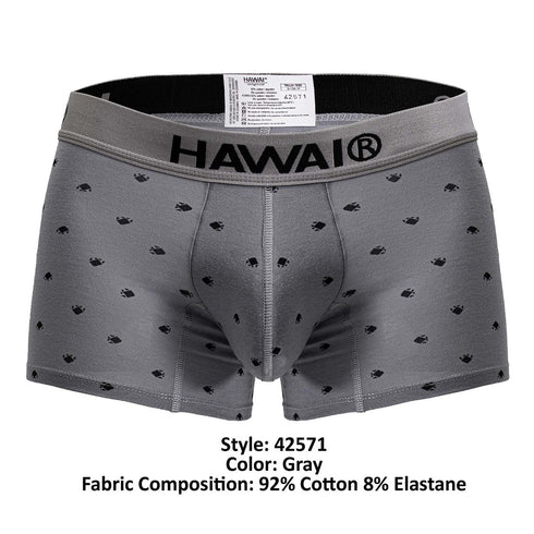 HAWAIR 42571 Cotton blend Trunks Color Gray