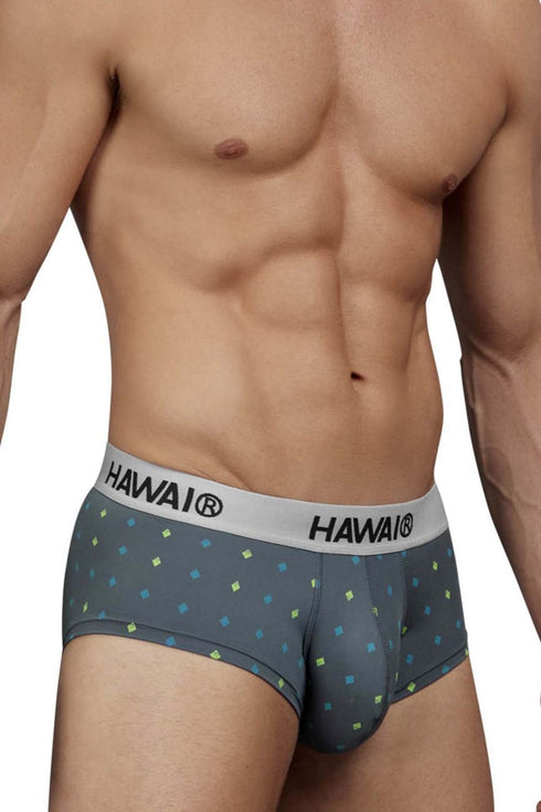 HAWAIR 42580 Microfiber Briefs Color Gray