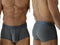 Xtremen 91252 Microfiber Mesh Trunks Color Gray
