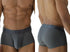 Xtremen 91252 Microfiber Mesh Trunks Color Gray