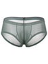 Xtremen 91263 Mens Underwear Microfiber Mesh Briefs Color Green