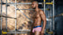 Xtremen 91273 Men's Underwear Sleek Athletic Microfiber Briefs Color Pink