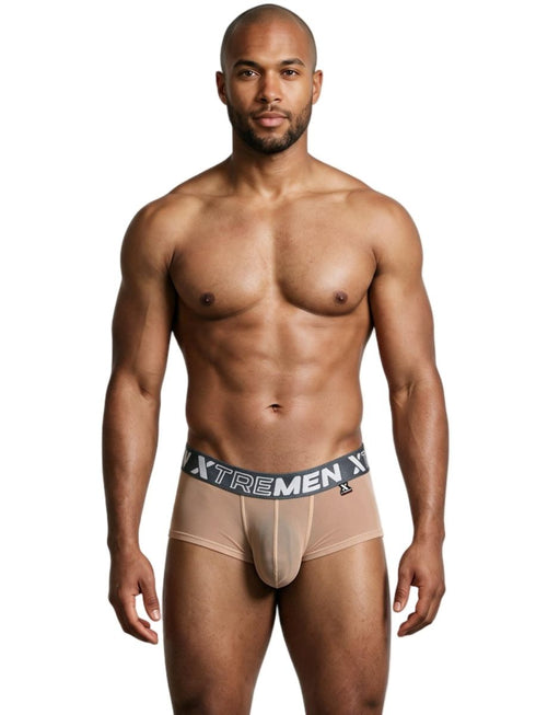 Xtremen 91279 Men's Underwear Microfiber Mesh Breathable Briefs Color Brown