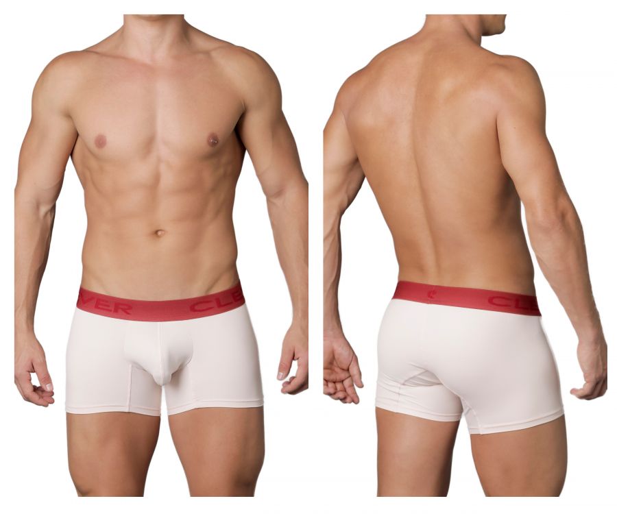 Style Boxer Briefs – Clever